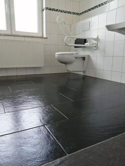 Wc Räume Reinigung Gießen Lahnau Wetzlar