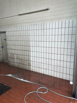 Toilettenreinigungsfirma Gießen Lahnau Wetzlar